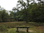 Zandstuvebos